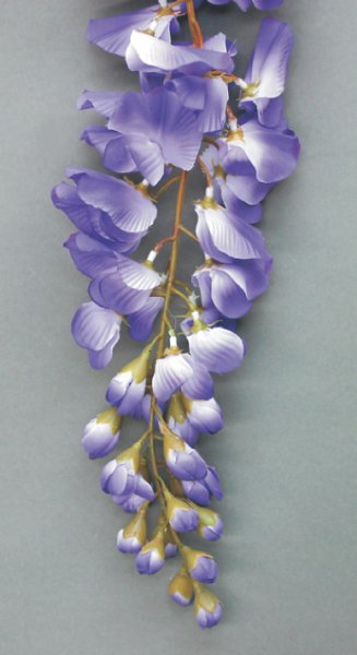 画像2: よさこい持ち枝【藤大枝１本房】 (2)