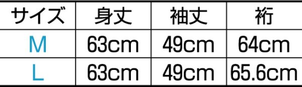 画像2: 高級半襦袢【女性用/バチ衿】 (2)