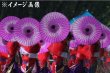 画像5: 演舞傘（舞傘）【絹製/紫ぼかし】 (5)
