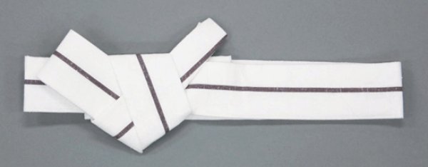 画像1: 綿紬軽装仕立半纏帯【白とエンジの１本独鈷】 (1)