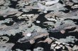 画像2: 変り織り鯉口シャツ（大人・男女兼用）【鯉と紋・黒】 (2)